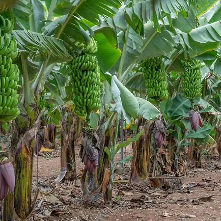 Rk Center Apartamento Las Palmas de Gran Canaria